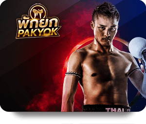 How to Use SHBET Top Bet for Better Betting Results
